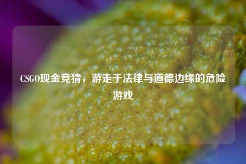 CSGO现金竞猜，游走于法律与道德边缘的危险游戏