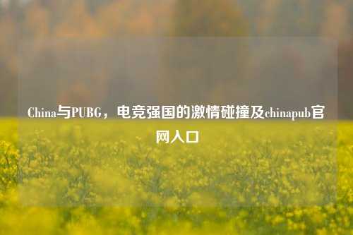 China与PUBG，电竞强国的激情碰撞及chinapub官网入口