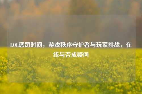 LOL惩罚时间，游戏秩序守护者与玩家挑战，在线与否成疑问
