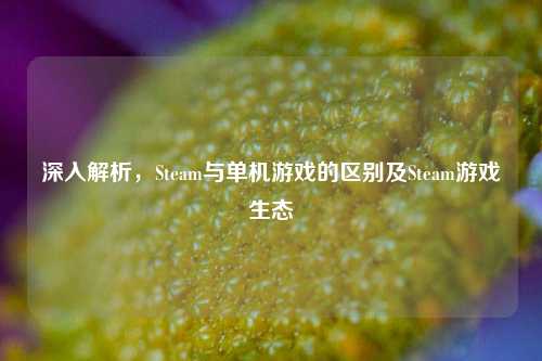 深入解析，Steam与单机游戏的区别及Steam游戏生态