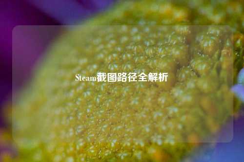 Steam截图路径全解析