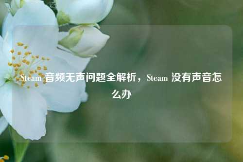Steam 音频无声问题全解析，Steam 没有声音怎么办