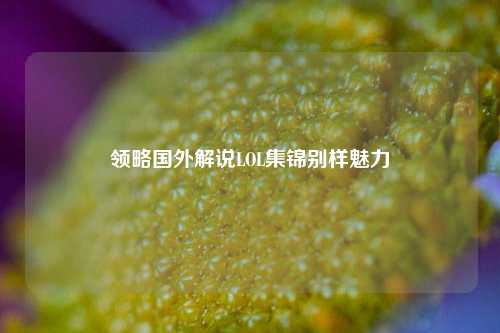 领略国外解说LOL集锦别样魅力