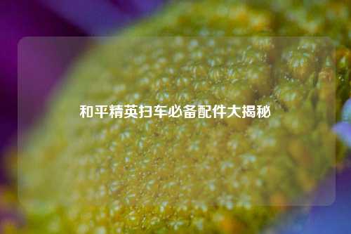 和平精英扫车必备配件大揭秘