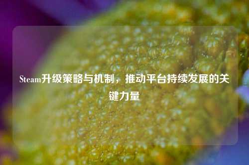 Steam升级策略与机制，推动平台持续发展的关键力量