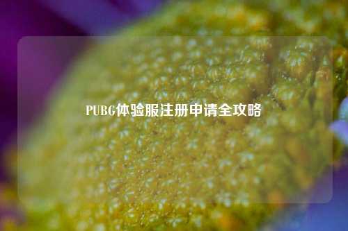 PUBG体验服注册申请全攻略