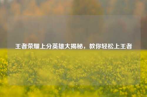 王者荣耀上分英雄大揭秘，教你轻松上王者