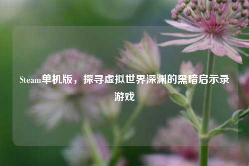 Steam单机版，探寻虚拟世界深渊的黑暗启示录游戏