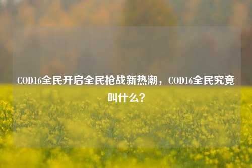 COD16全民开启全民枪战新热潮，COD16全民究竟叫什么？