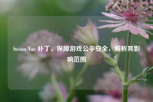 Steam Vac 补丁，保障游戏公平安全，解析其影响范围