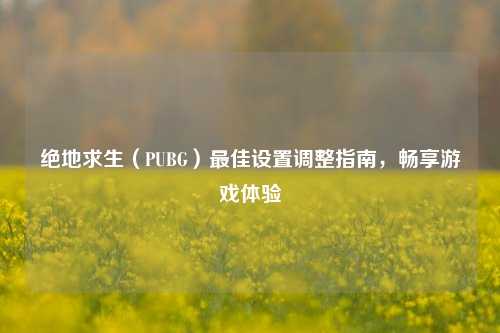 绝地求生（PUBG）最佳设置调整指南，畅享游戏体验