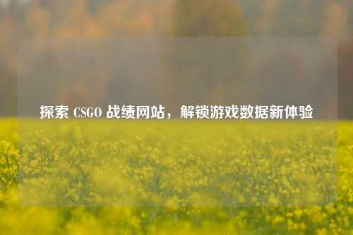 探索 CSGO 战绩网站，解锁游戏数据新体验