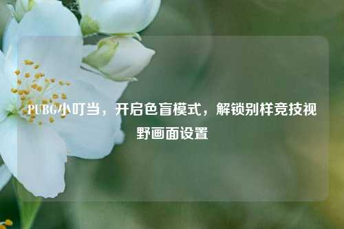 PUBG小叮当，开启色盲模式，解锁别样竞技视野画面设置