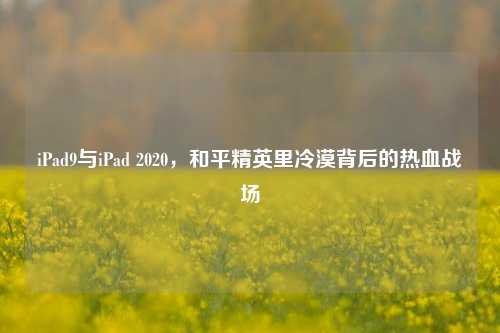 iPad9与iPad 2020，和平精英里冷漠背后的热血战场