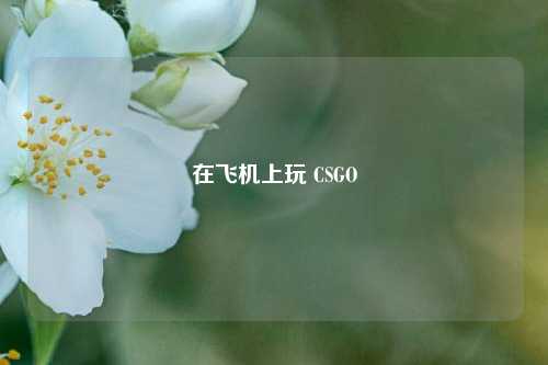 在飞机上玩 CSGO