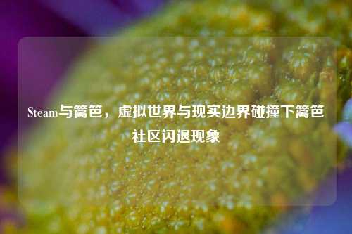 Steam与篱笆，虚拟世界与现实边界碰撞下篱笆社区闪退现象