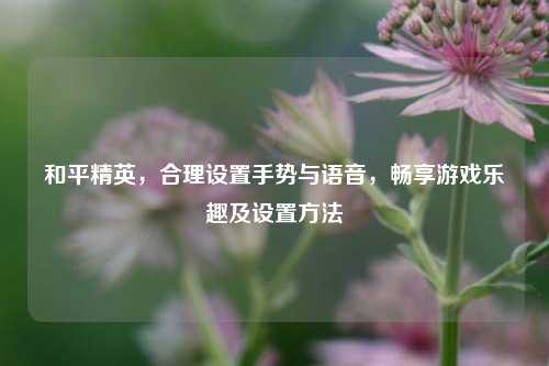 和平精英，合理设置手势与语音，畅享游戏乐趣及设置方法