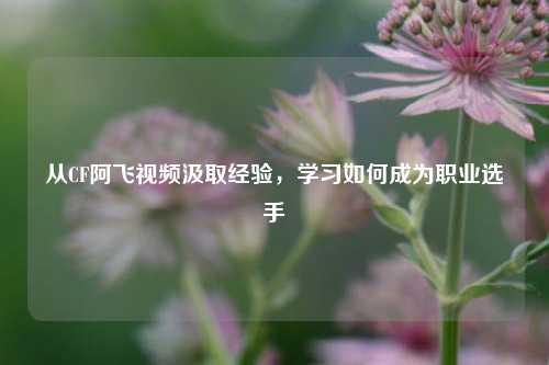 从CF阿飞视频汲取经验，学习如何成为职业选手