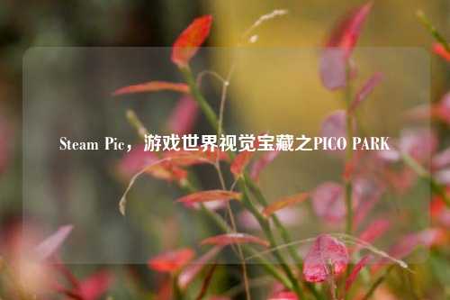 Steam Pic，游戏世界视觉宝藏之PICO PARK
