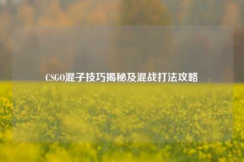 CSGO混子技巧揭秘及混战打法攻略