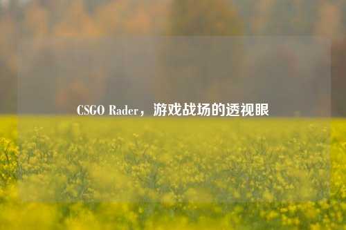 CSGO Rader，游戏战场的透视眼
