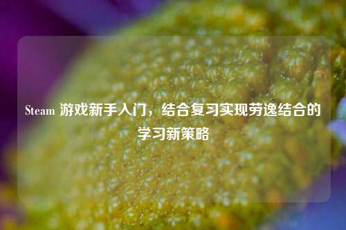 Steam 游戏新手入门，结合复习实现劳逸结合的学习新策略