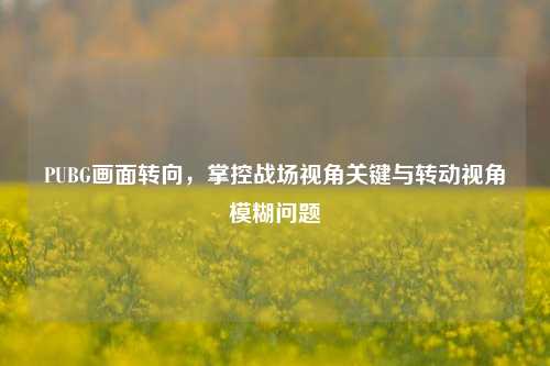 PUBG画面转向，掌控战场视角关键与转动视角模糊问题
