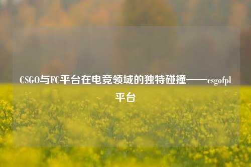 CSGO与FC平台在电竞领域的独特碰撞——csgofpl平台