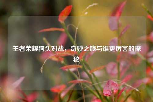 王者荣耀狗头对战，奇妙之旅与谁更厉害的探秘