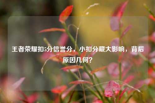 王者荣耀扣5分信誉分，小扣分藏大影响，背后原因几何？