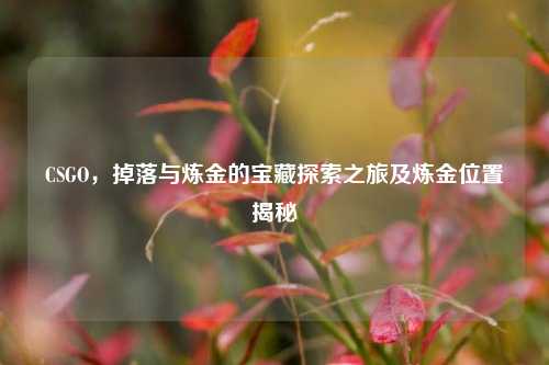 CSGO，掉落与炼金的宝藏探索之旅及炼金位置揭秘