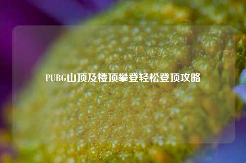 PUBG山顶及楼顶攀登轻松登顶攻略