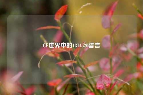 CF世界中的1314520誓言