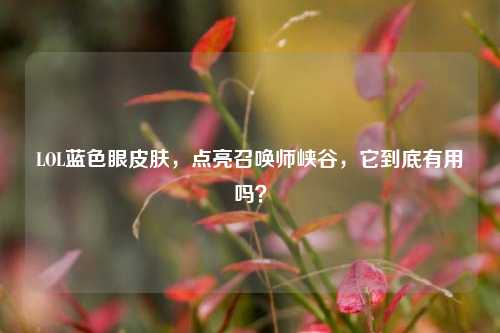LOL蓝色眼皮肤，点亮召唤师峡谷，它到底有用吗？