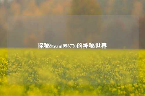 探秘Steam996770的神秘世界