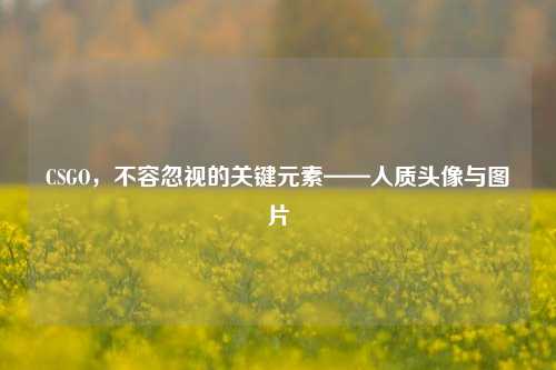 CSGO，不容忽视的关键元素——人质头像与图片