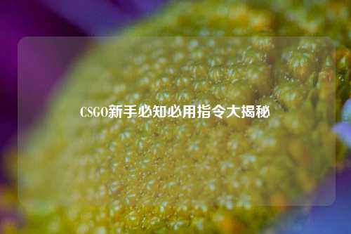 CSGO新手必知必用指令大揭秘