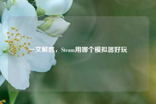 一文解惑，Steam用哪个模拟器好玩