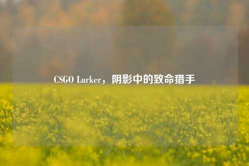 CSGO Lurker，阴影中的致命猎手