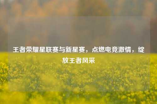 王者荣耀星联赛与新星赛，点燃电竞激情，绽放王者风采