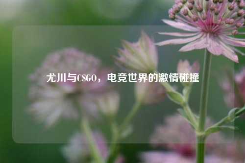 尤川与CSGO，电竞世界的激情碰撞