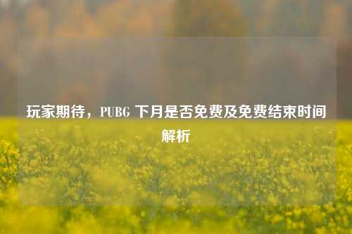 玩家期待，PUBG 下月是否免费及免费结束时间解析