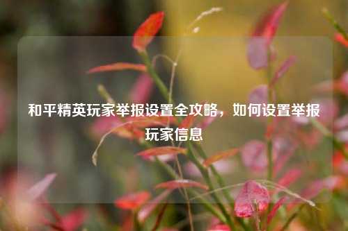 和平精英玩家举报设置全攻略，如何设置举报玩家信息