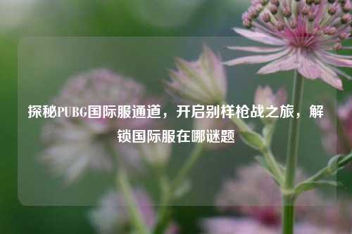 探秘PUBG国际服通道，开启别样枪战之旅，解锁国际服在哪谜题
