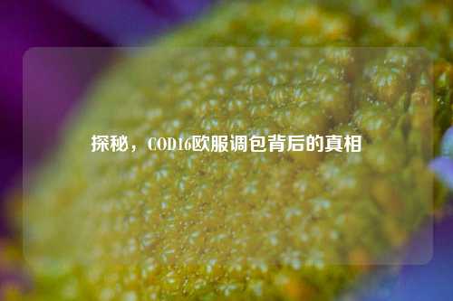 探秘，COD16欧服调包背后的真相