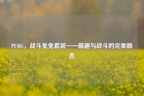 PUBG，战斗兔兔套装——萌趣与战斗的完美融合