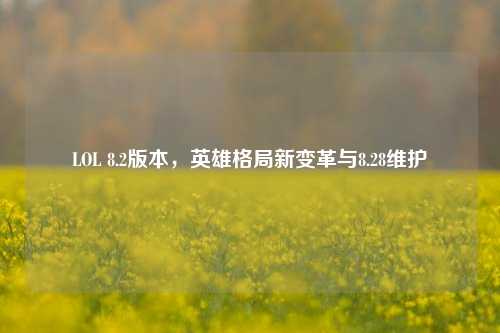 LOL 8.2版本，英雄格局新变革与8.28维护