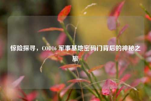 惊险探寻，COD16 军事基地密码门背后的神秘之旅