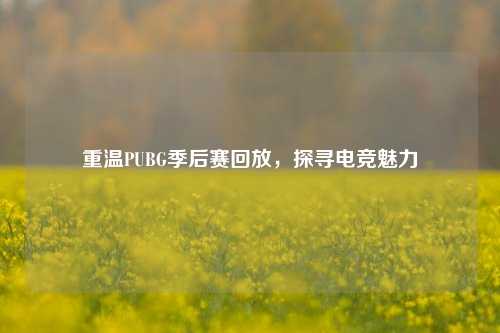 重温PUBG季后赛回放，探寻电竞魅力