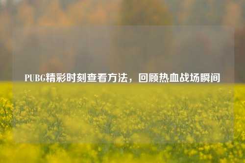 PUBG精彩时刻查看方法，回顾热血战场瞬间